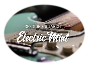 Native Instruments - Session Guitarist Electric Mint full crack 